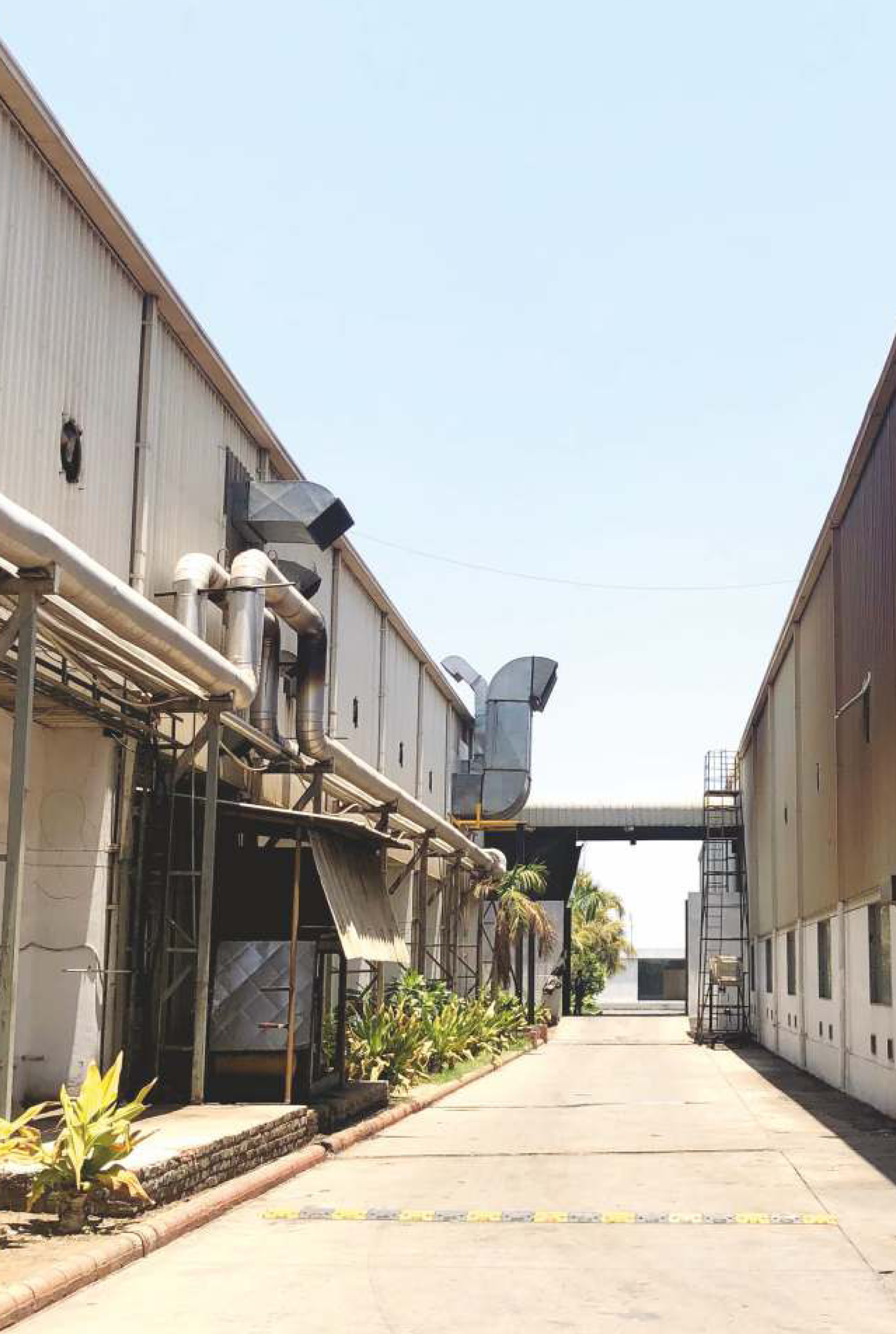 Factory Image 1